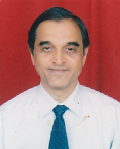 MR. PARIMAL HASMUKHLAL DESAI