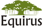 EQUIRUS SECURITIES PVT.LTD.